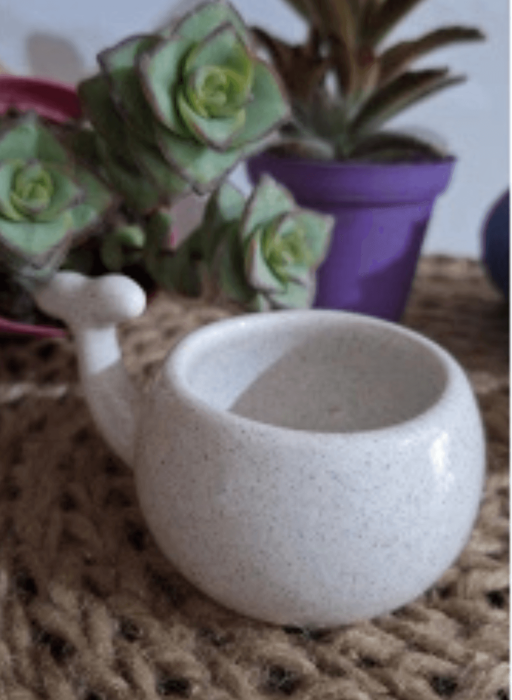 Macetita de cerámica Ballenitas