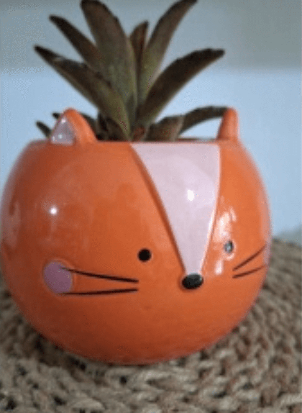 Maceta de cerámica Gato naranja