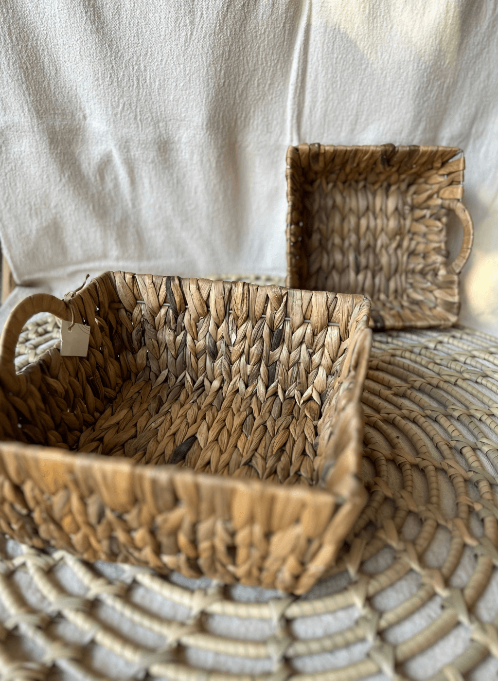 Set x2 bandejas jacinto - Image 2