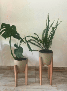 Combo Nórdico Maceta 18cm Pie 40cm altura