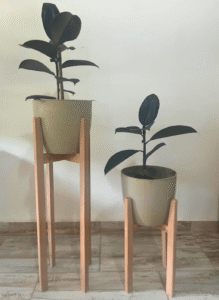 Combo Nórdico Maceta 22cm Pie 70cm altura